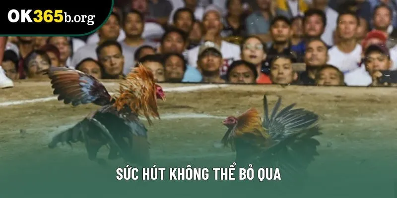 Sức hút không thể bỏ qua